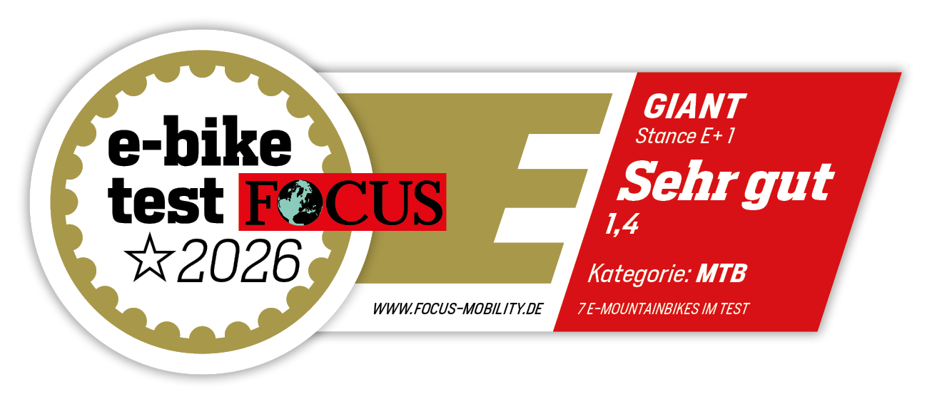 Focus E-Bike Test