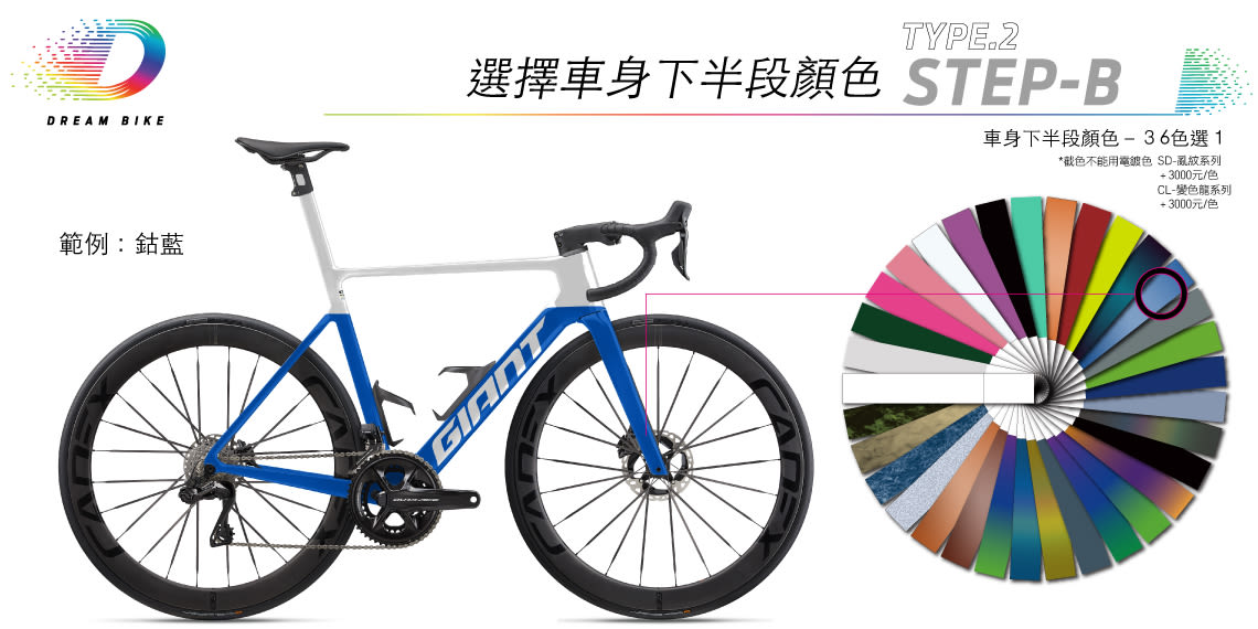 Custom PROPEL TYPE 2