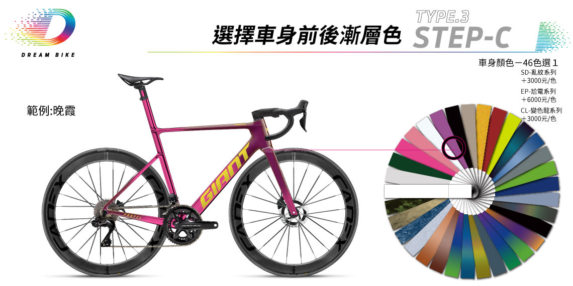 Custom PROPEL TYPE 3