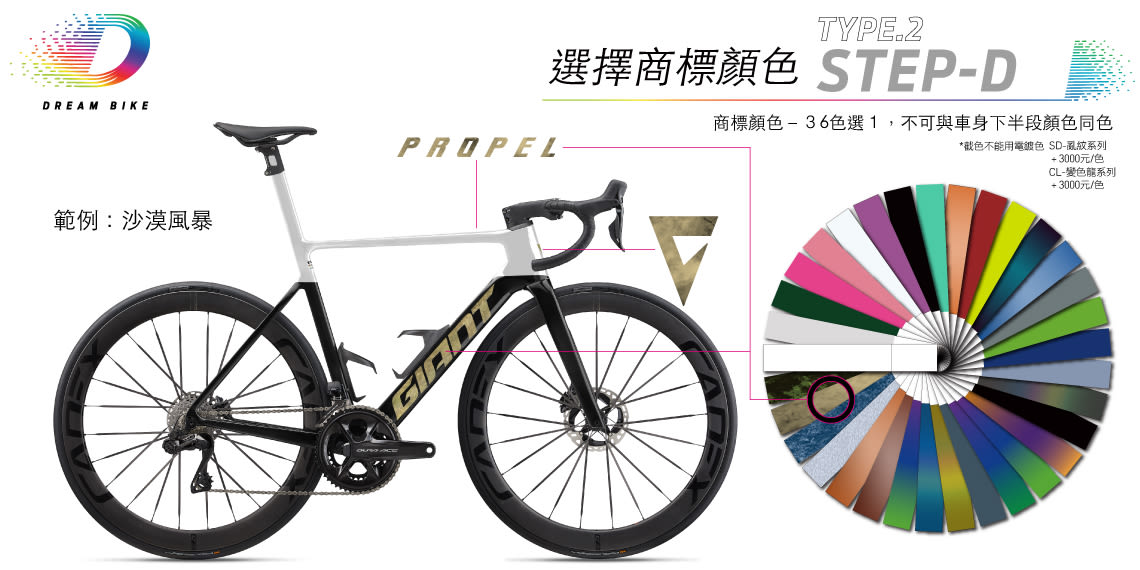 Custom PROPEL TYPE 2