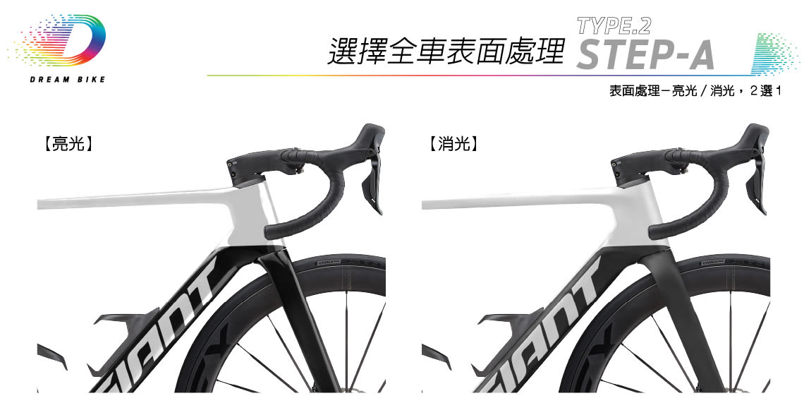 Custom PROPEL TYPE2