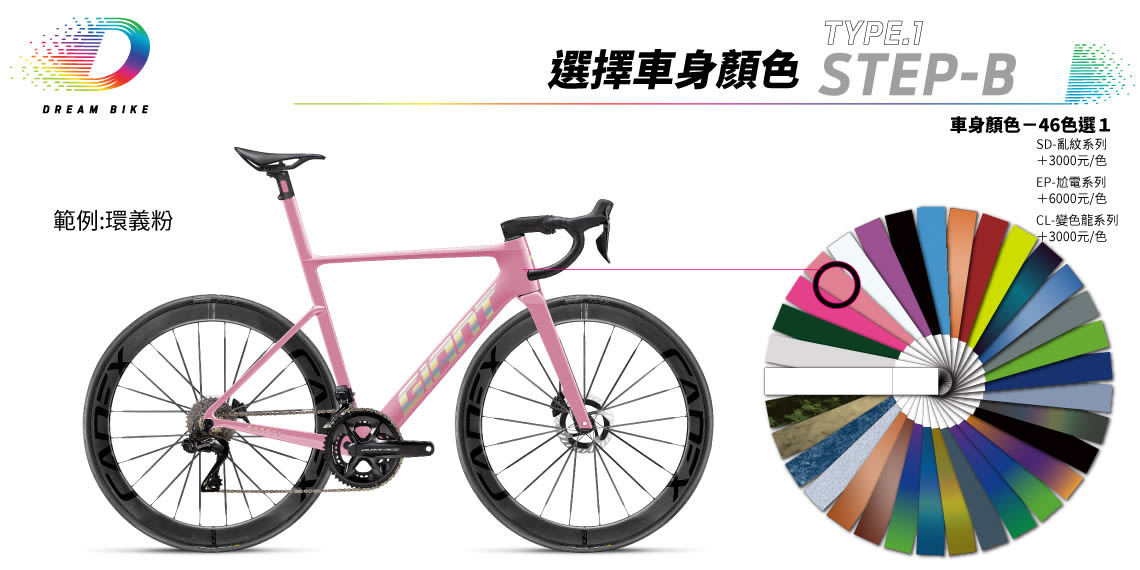 Custom PROPEL TYPE1