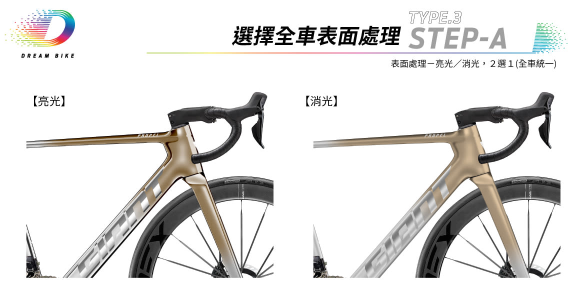 Custom PROPEL TYPE3
