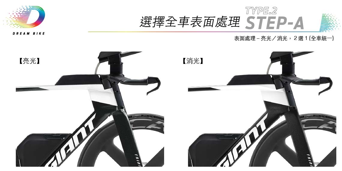 Custom TRINITY TYPE 2