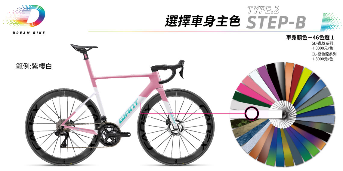 Custom PROPEL TYPE2