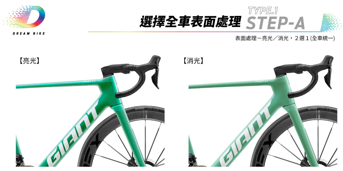 Custom PROPEL TYPE1