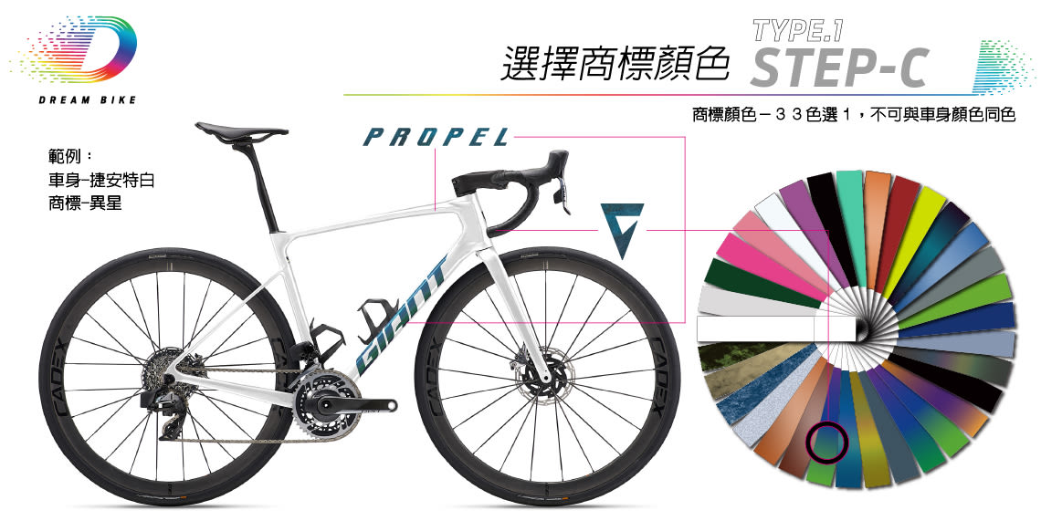 Custom DEFY TYPE1