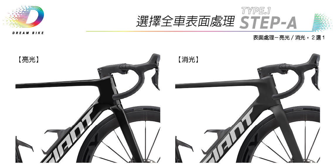 Custom PROPEL TYPE1