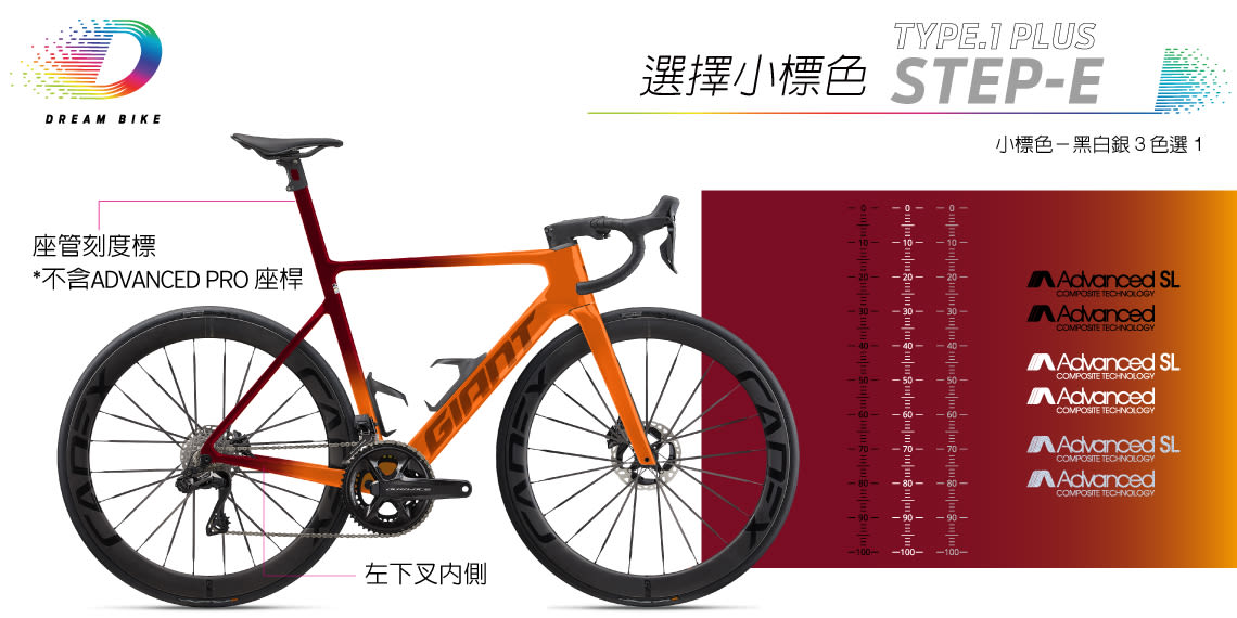 Custom PROPEL TYPE1 PLUS