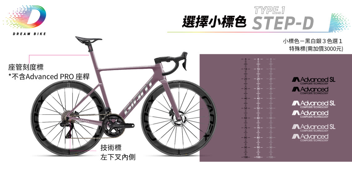 Custom PROPEL TYPE1