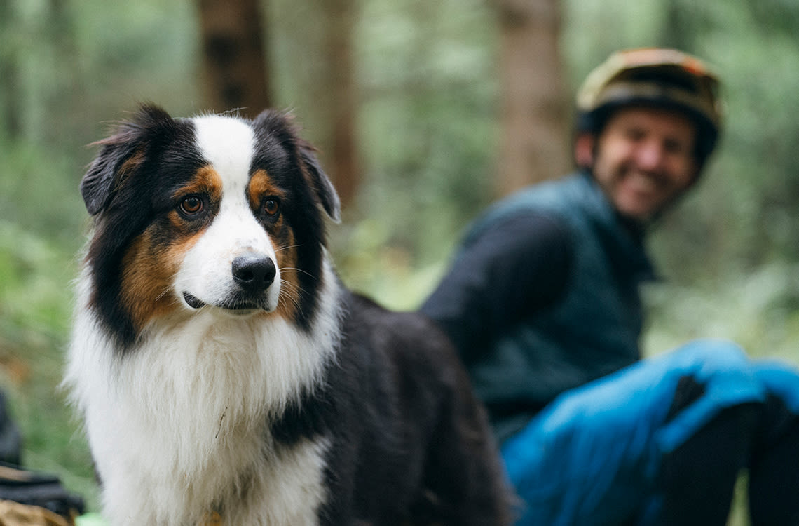 Dog and owner in nature.