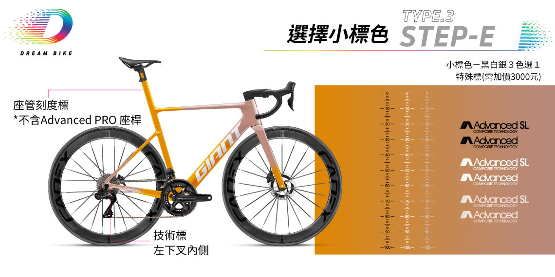 Custom PROPEL TYPE 3