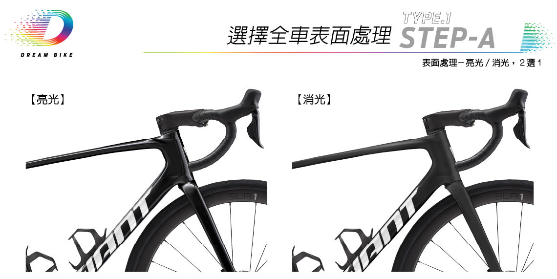 Custom DEFY TYPE1