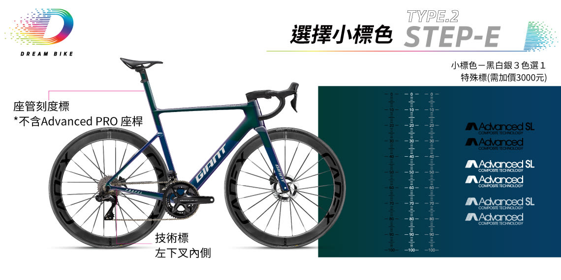 Custom PROPEL TYPE2