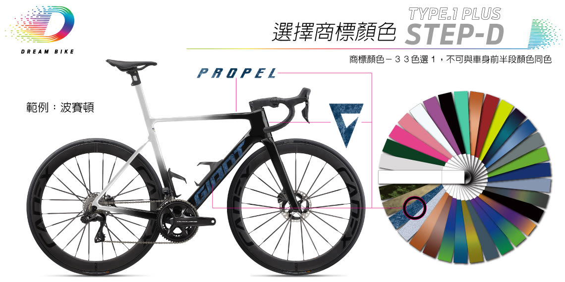 Custom PROPEL TYPE1 PLUS