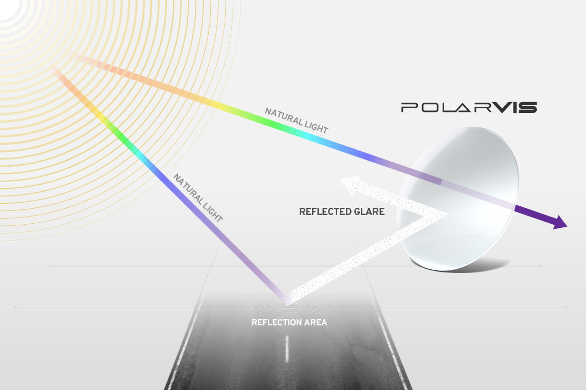 PolarVis