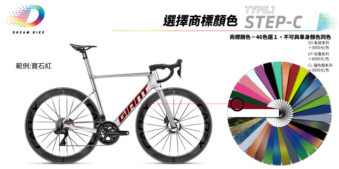 Custom PROPEL TYPE1