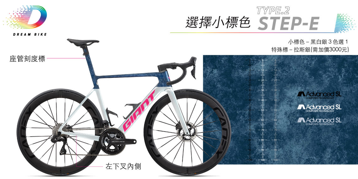 Custom PROPEL TYPE 2