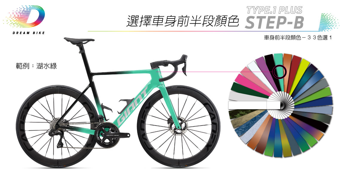 Custom PROPEL TYPE1 PLUS
