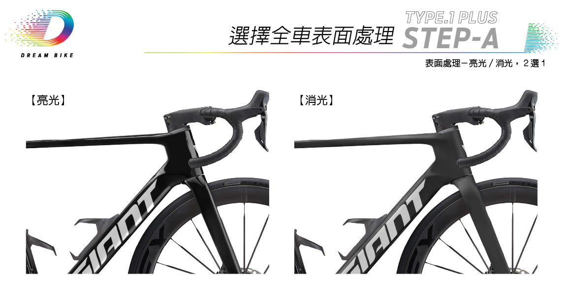 Custom PROPEL TYPE1 PLUS