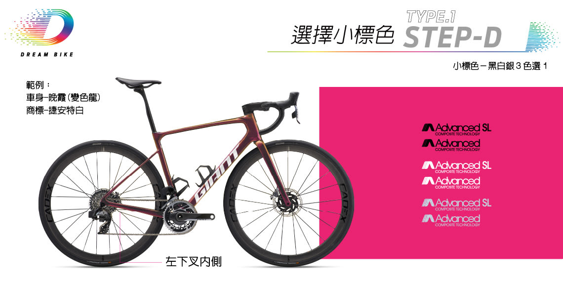 Custom DEFY TYPE1