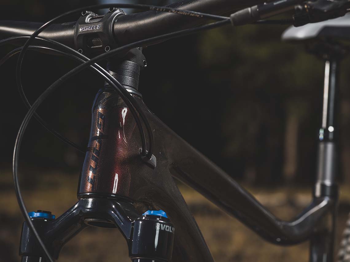 giant mountain bike