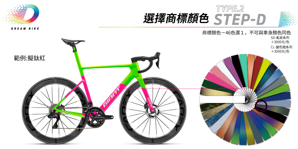 Custom PROPEL TYPE2