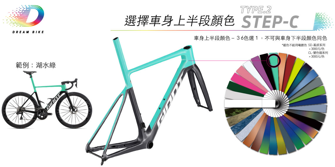 Custom PROPEL TYPE 2