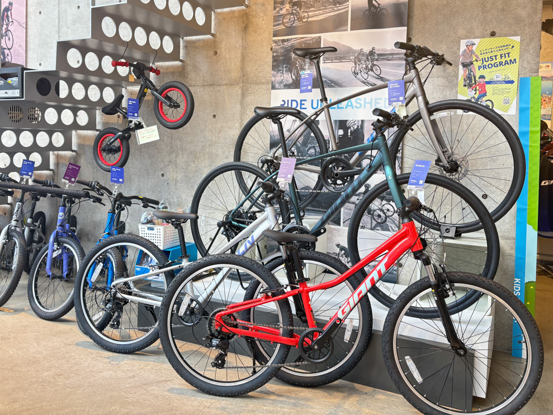 giantstore_kyoto_shimeidori