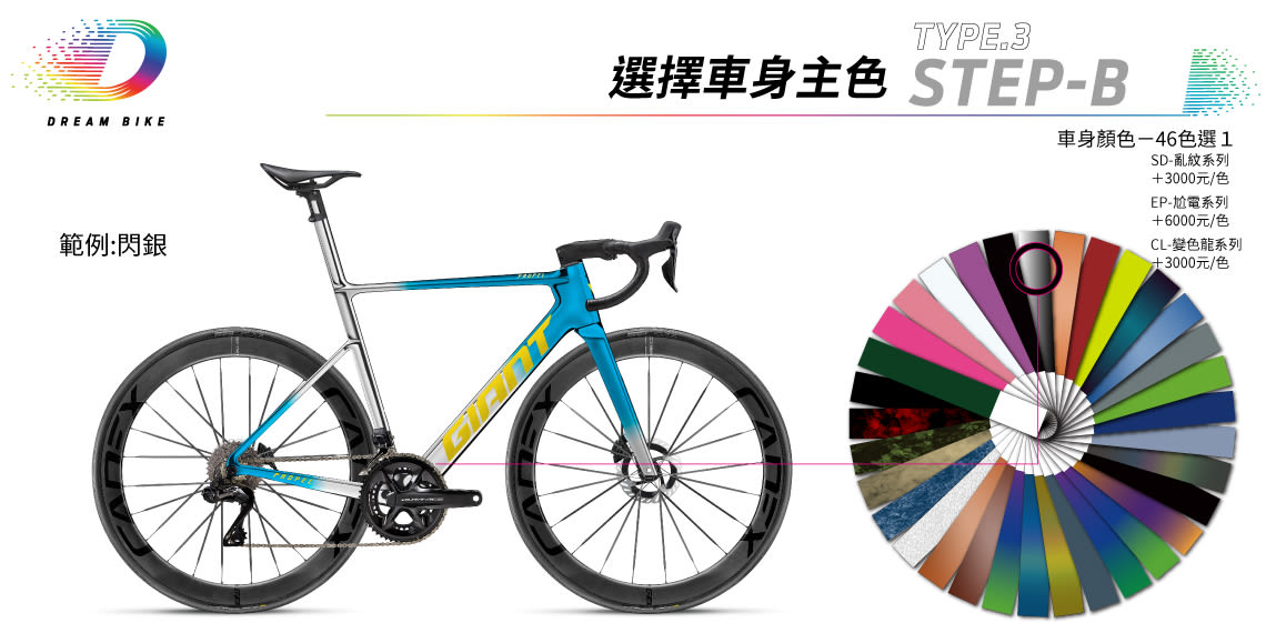 Custom PROPEL TYPE 3