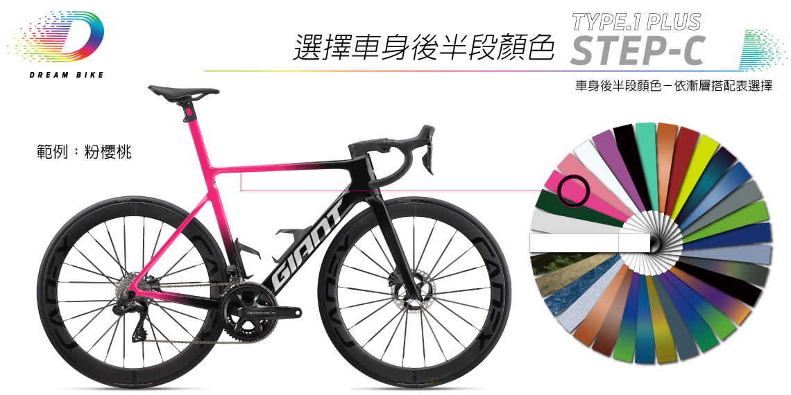 Custom PROPEL TYPE1 PLUS