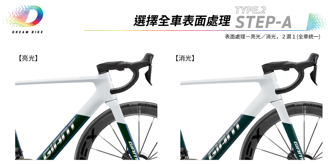 Custom PROPEL TYPE2
