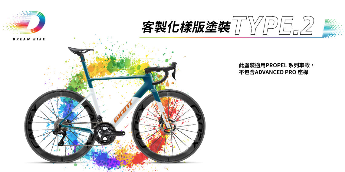 Custom PROPEL TYPE 2