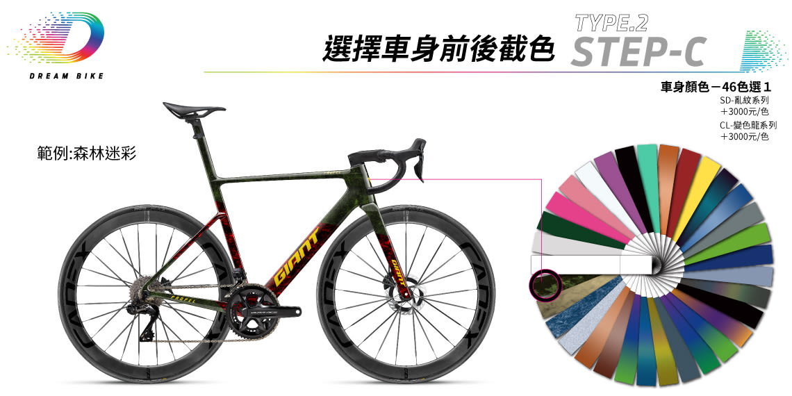 Custom PROPEL TYPE2