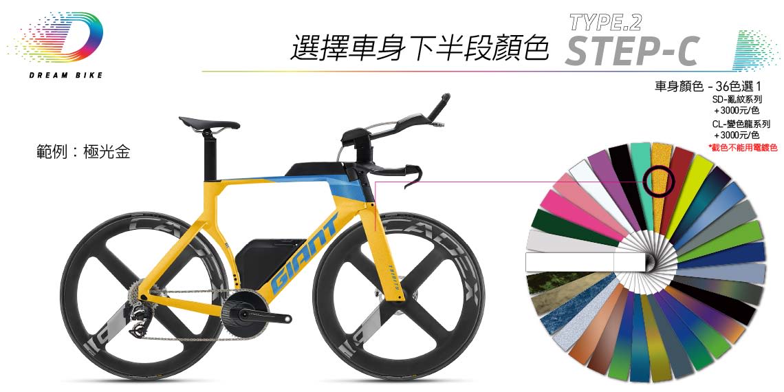 Custom PROPEL TYPE2