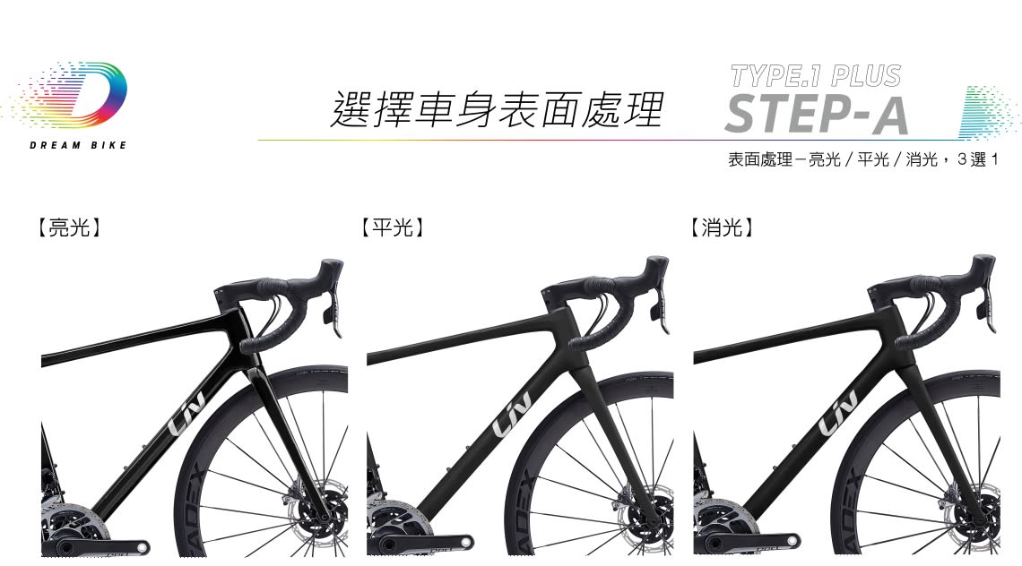 LANGMA TYPE 1 PLUS 客製化塗裝