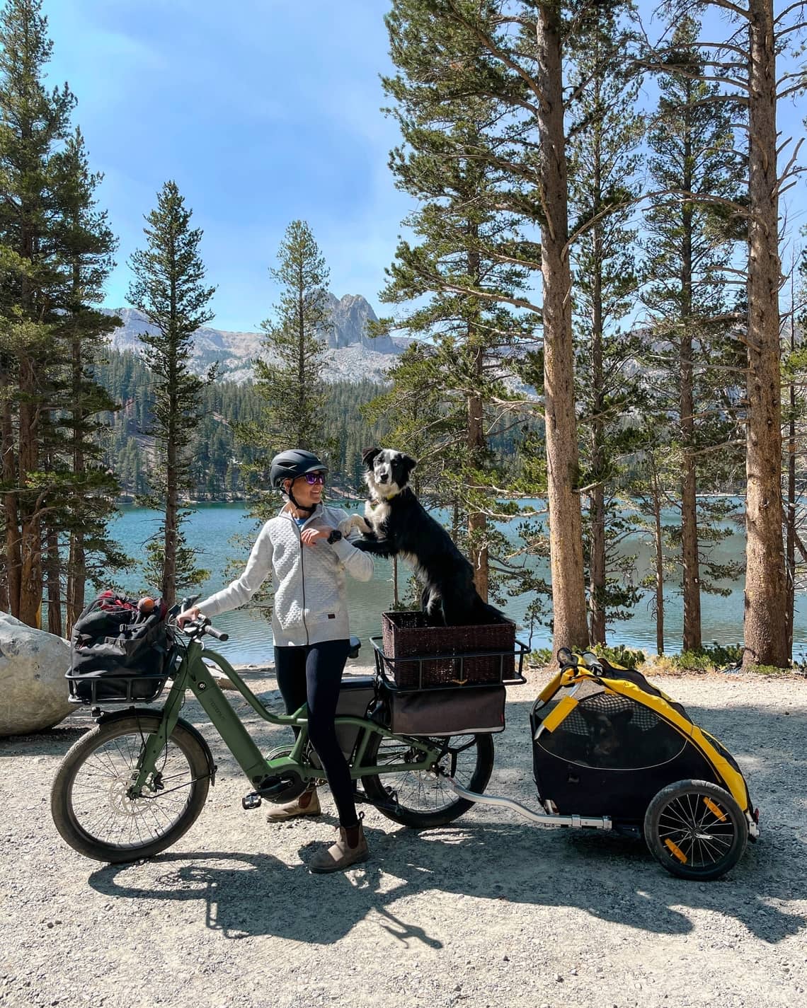 Bike with dog, cargo bike, electric bikes