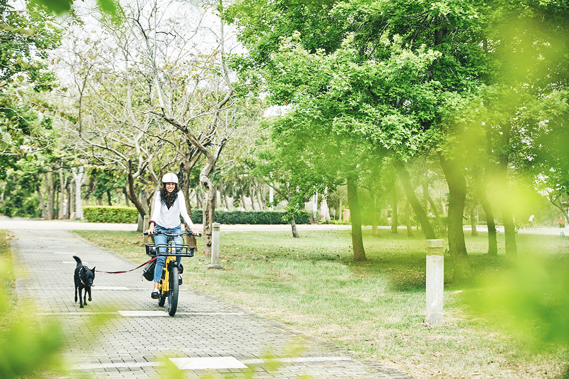 How to bike with your dog? Five ways to take your dog on your bike