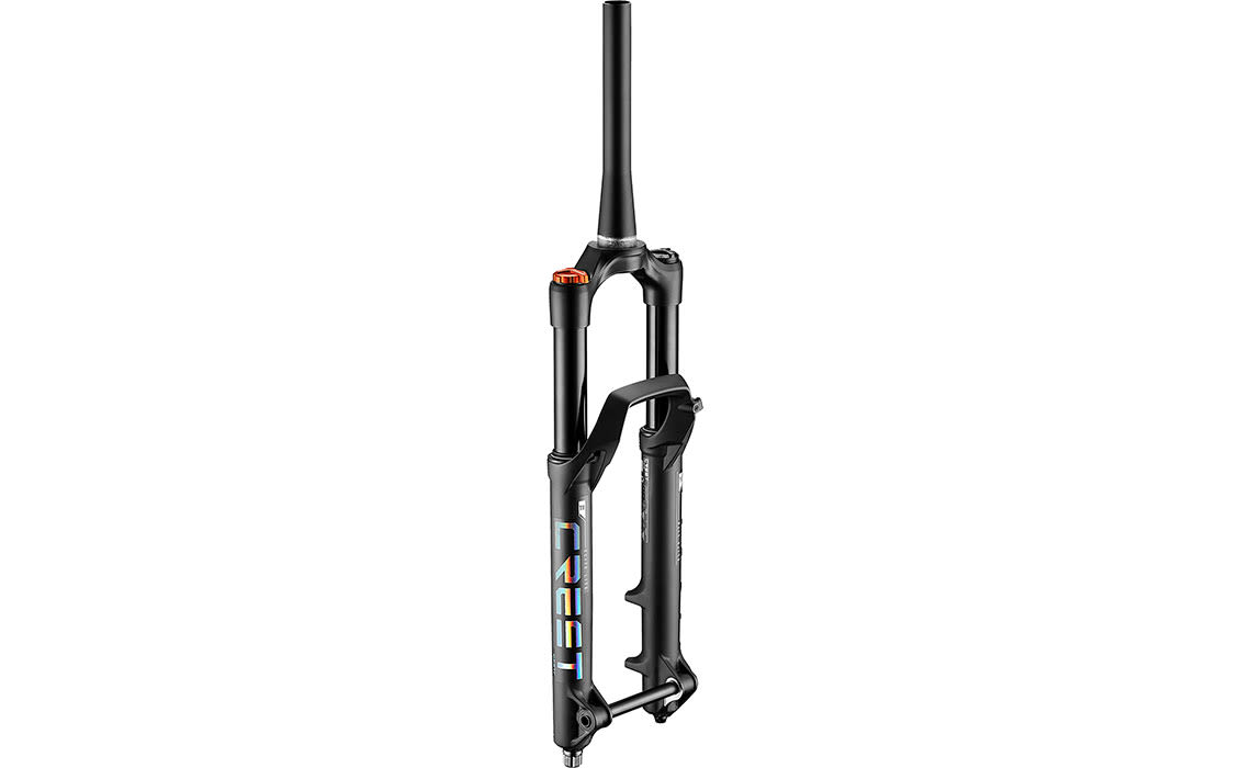 Giant bike front suspension forks sale