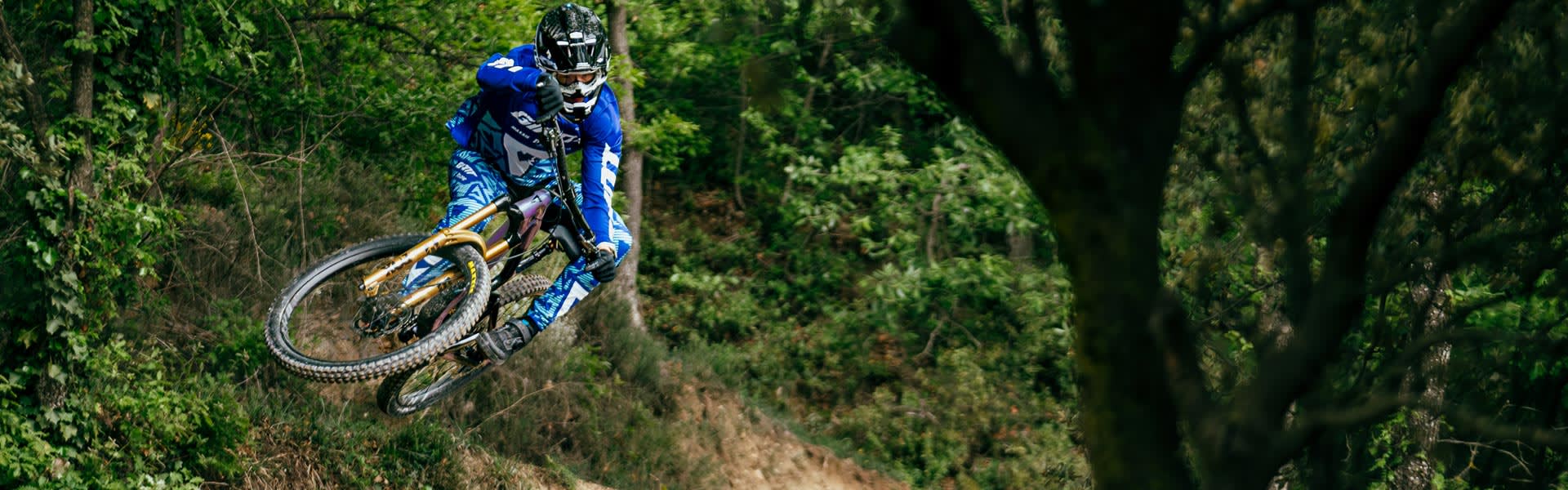 Sascha Kim action banner