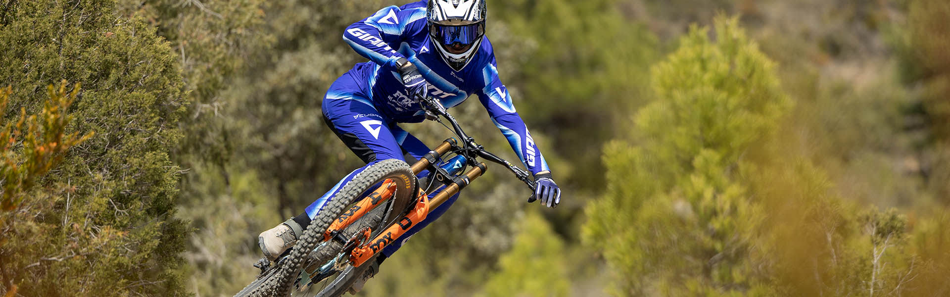 Dane Jewett action image