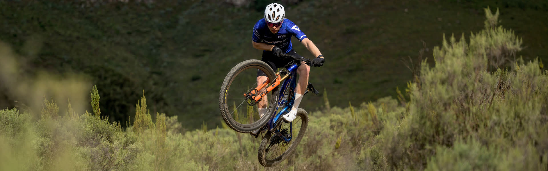Dario Lillo banner image