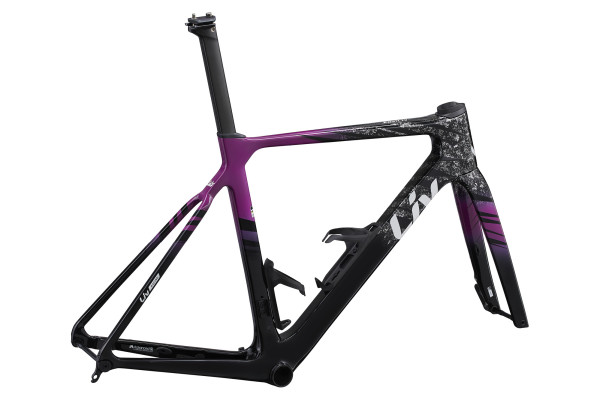 EnviLiv Advanced SL Frameset is ready for your next criterium, road race, or sprint triathlon.
