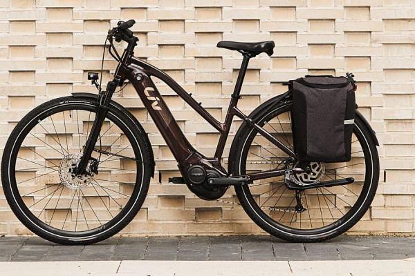 Amiti E+ 2, in Rosewood. Availability varies by country.