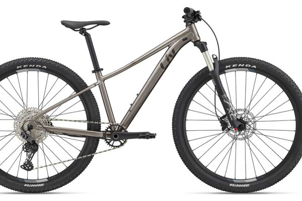 Tempt 29 0, in Metal. Availability varies by country.