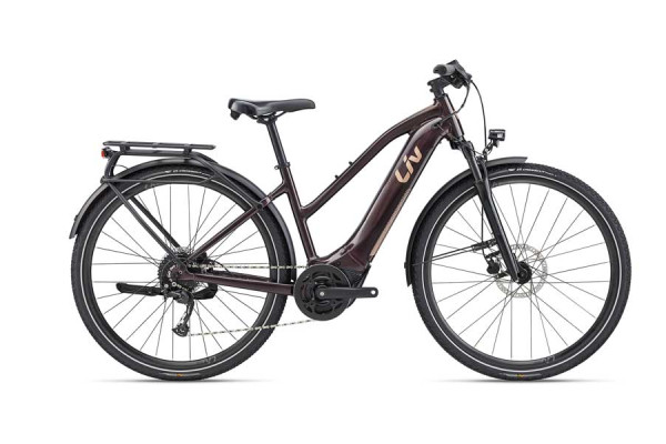 The Amiti E+ 2, in Rosewood. Availability varies by country.
