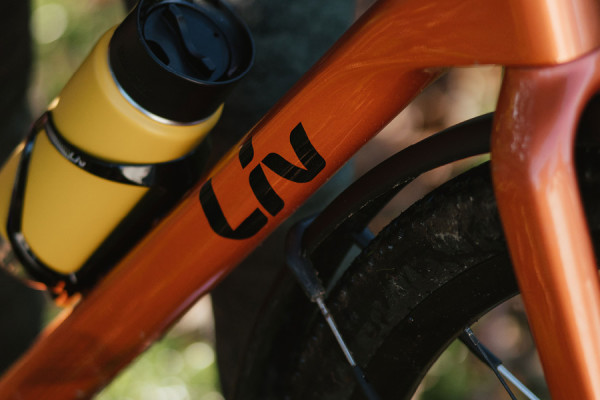 The Thrive Advanced GX features a lightweight and efficient carbon frame and fork. 
