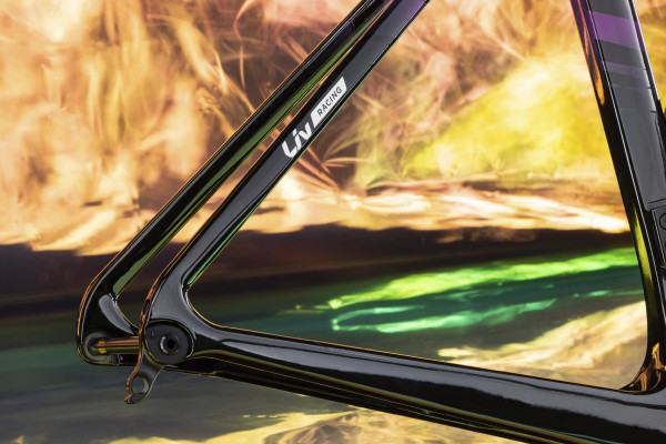 EnviLiv Advanced SL Frameset’s stiffness-to-weight ratio makes it the ultimate sprinting machine.