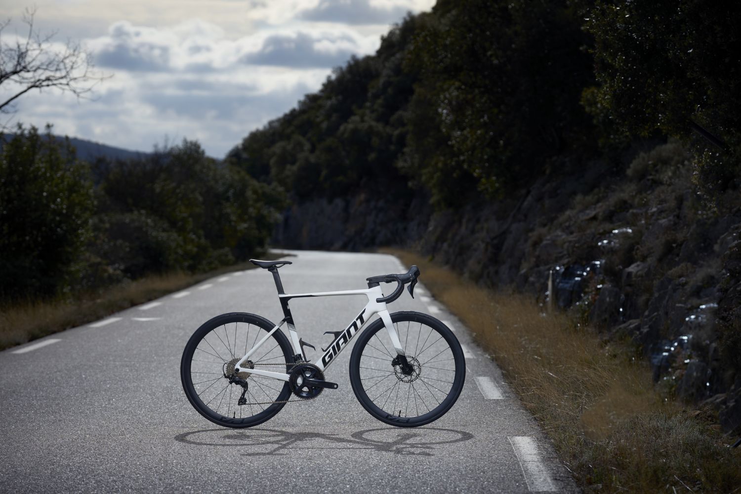 Giant Giant Propel Advanced 2