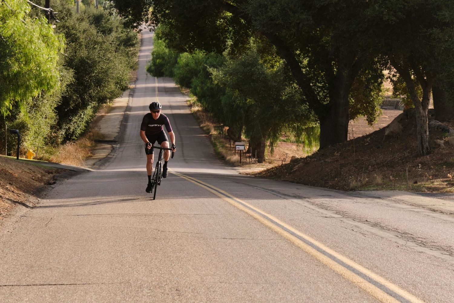 Contend SL Disc Road Bike